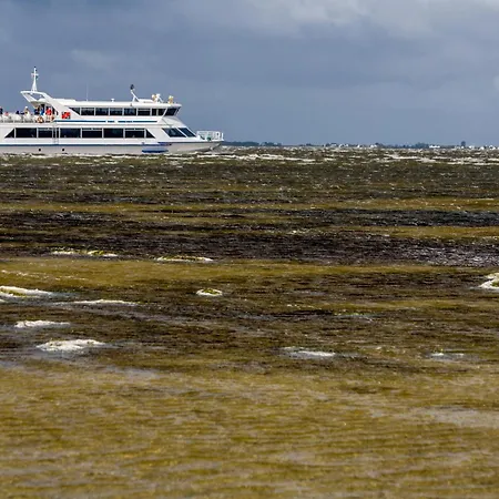 1 Σπίτι διακοπών *